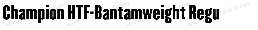 Champion HTF-Bantamweight Regular字体转换